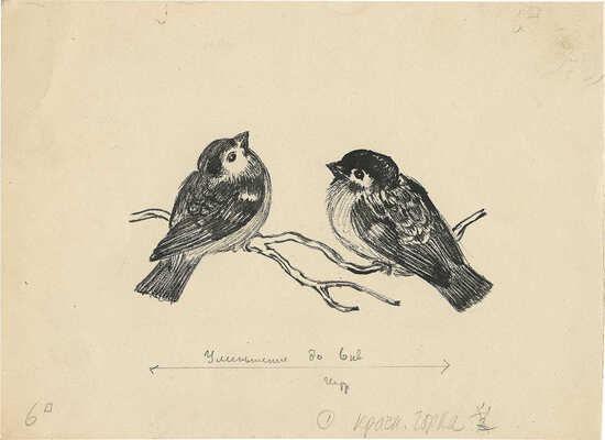 Тырса Николай Андреевич. Лот из четырех иллюстраций к книге В. Бианки «Сказки» 